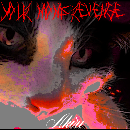 Your Moms Revenge album cover